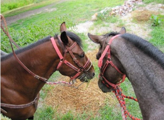 Una experiencia unica